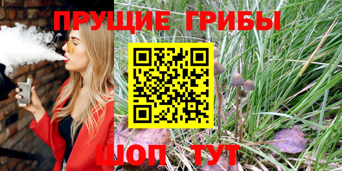 Красноармейск  Галлюциногенные грибы ЛСД  Вход с VPN 